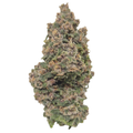 Bubble kush CBD 16%