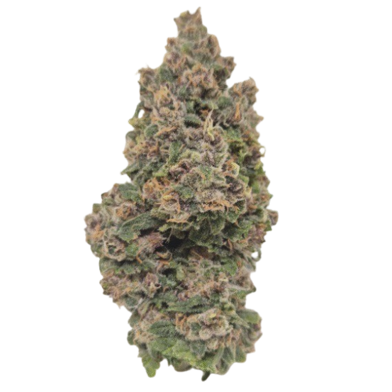 Bubble kush CBD 16%