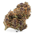 Runtz CSA 10%